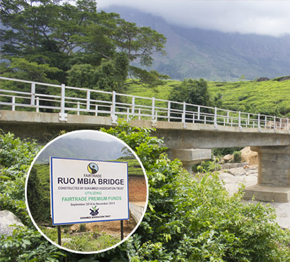 Ruo Mbia Bridge