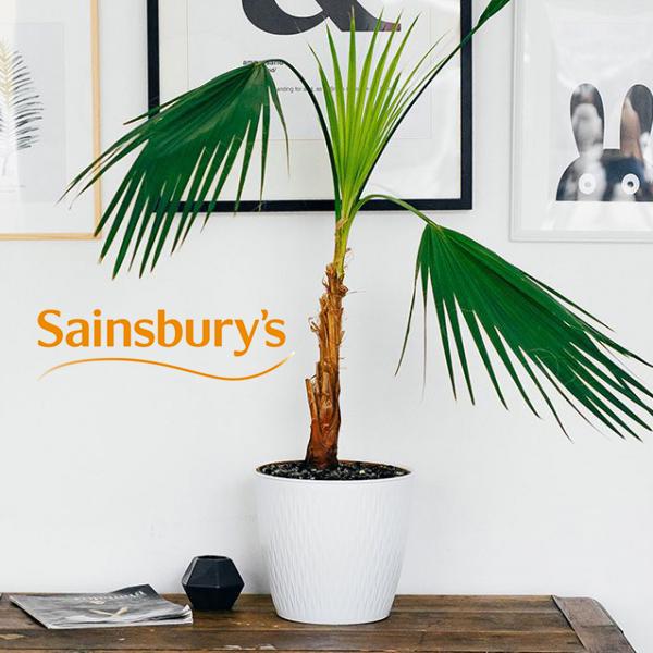 https://www.sainsburys.co.uk/